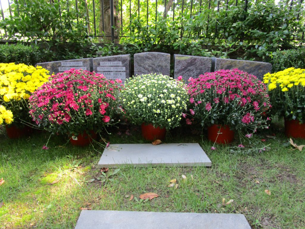 National Pet Memorial Day Floral (September): Potted Hardy Mums